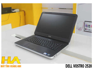 Dell Vostro 2520 - CH 1